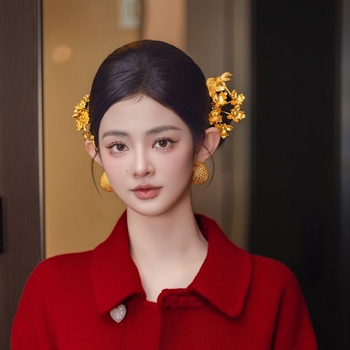 Xiuhe diademă de mireasă — set de cercei și pieptene pentru păr, clips lateral, accesorii pentru nuntă, iarna 2025, stil medieval, retro literar