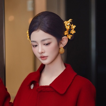 Xiuhe diademă de mireasă — set de cercei și pieptene pentru păr, clips lateral, accesorii pentru nuntă, iarna 2025, stil medieval, retro literar