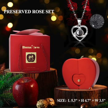 Colier inimă cu zirconiu încrustat cu cupru, InStyle, Cod produs Yxk3mpza, Primăvara 2023