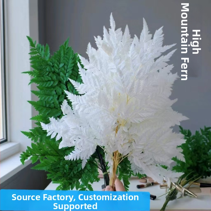 Džiovintos gėlės puokštė — amžinosios Alpine Goat Tooth Leaves, DIY floros medžiagos, vazos dekoras