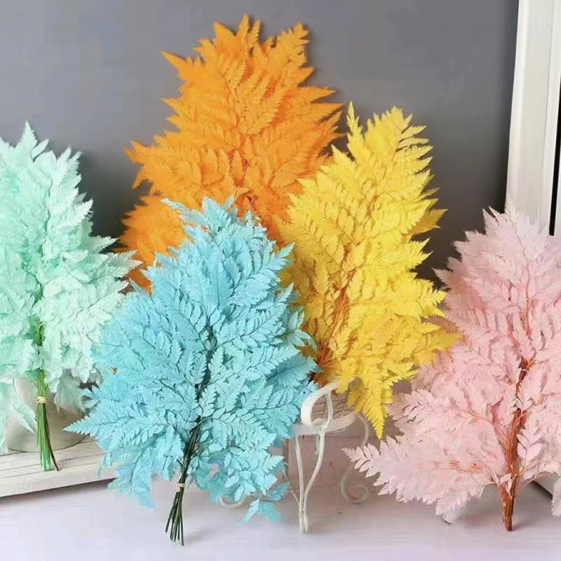 Džiovintos gėlės puokštė — amžinosios Alpine Goat Tooth Leaves, DIY floros medžiagos, vazos dekoras