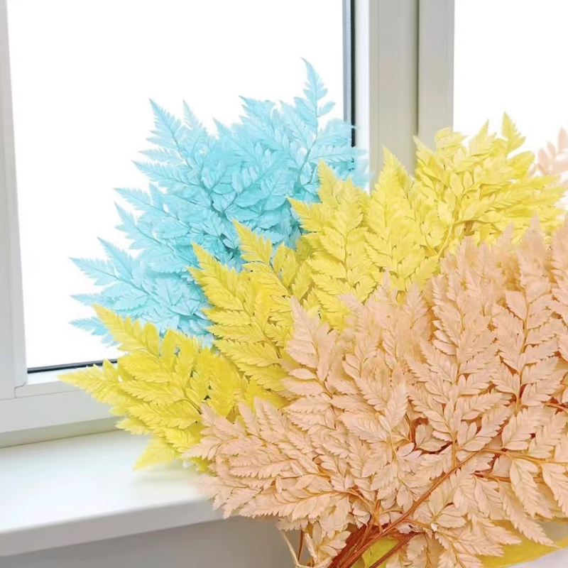 Džiovintos gėlės puokštė — amžinosios Alpine Goat Tooth Leaves, DIY floros medžiagos, vazos dekoras