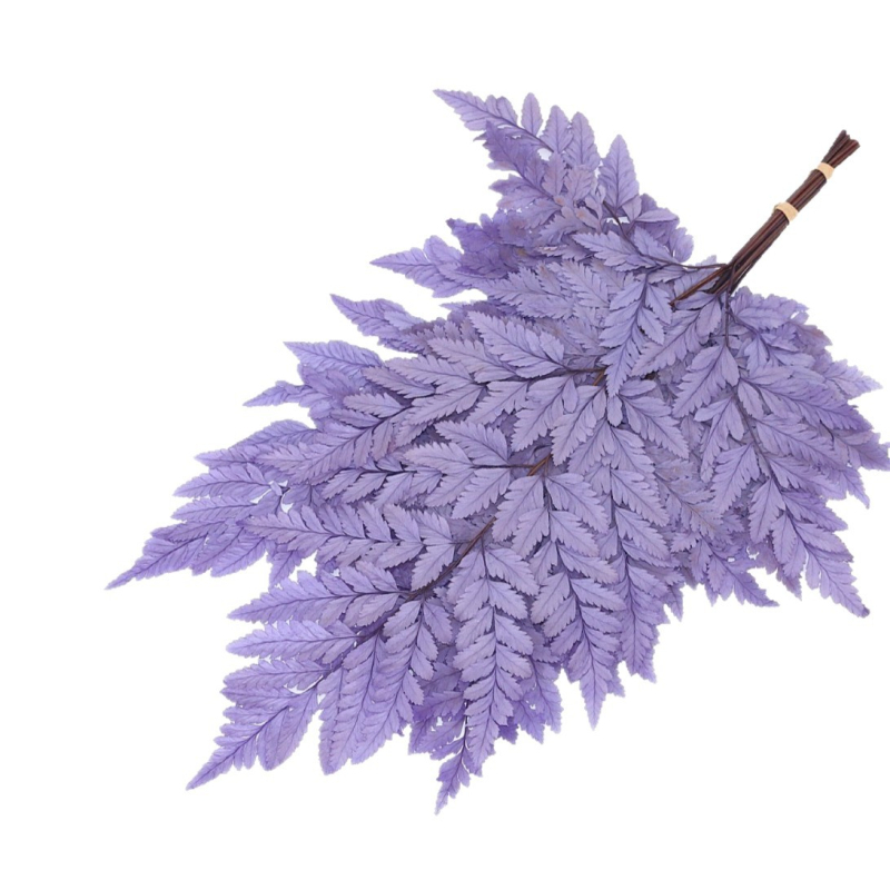 Džiovintos gėlės puokštė — amžinosios Alpine Goat Tooth Leaves, DIY floros medžiagos, vazos dekoras