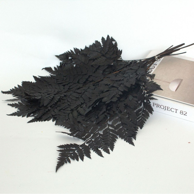 Džiovintos gėlės puokštė — amžinosios Alpine Goat Tooth Leaves, DIY floros medžiagos, vazos dekoras