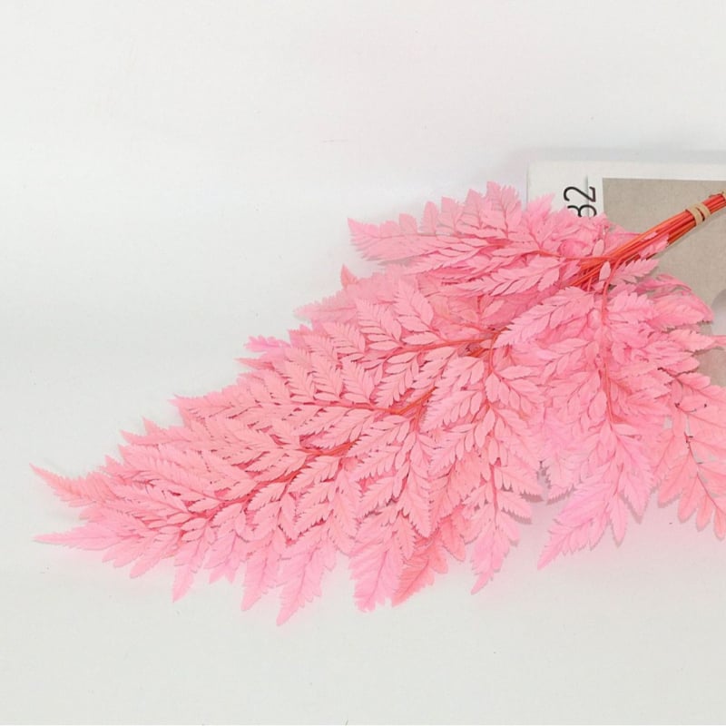 Džiovintos gėlės puokštė — amžinosios Alpine Goat Tooth Leaves, DIY floros medžiagos, vazos dekoras