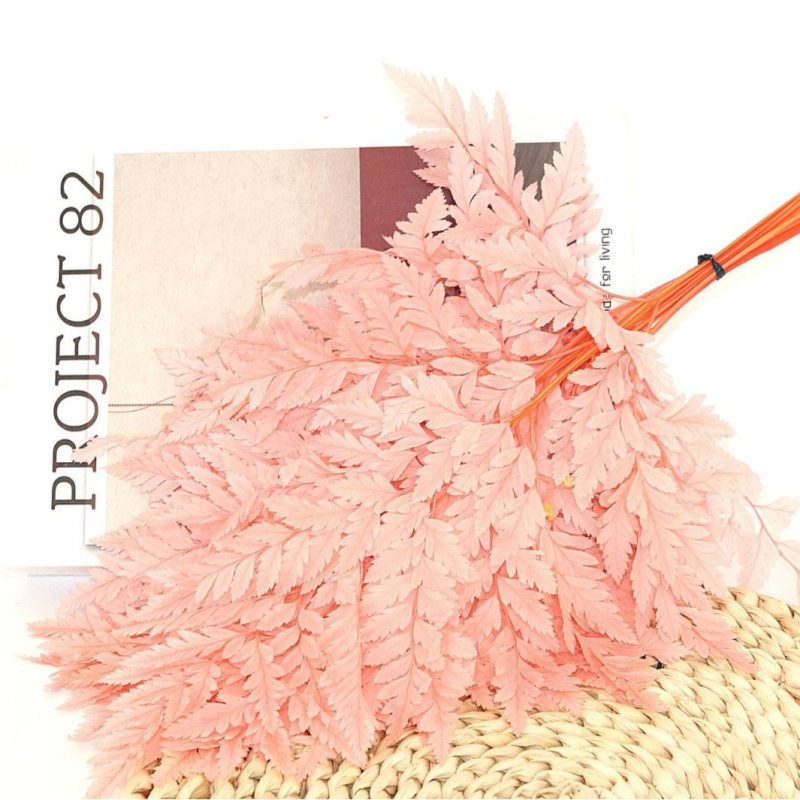 Džiovintos gėlės puokštė — amžinosios Alpine Goat Tooth Leaves, DIY floros medžiagos, vazos dekoras