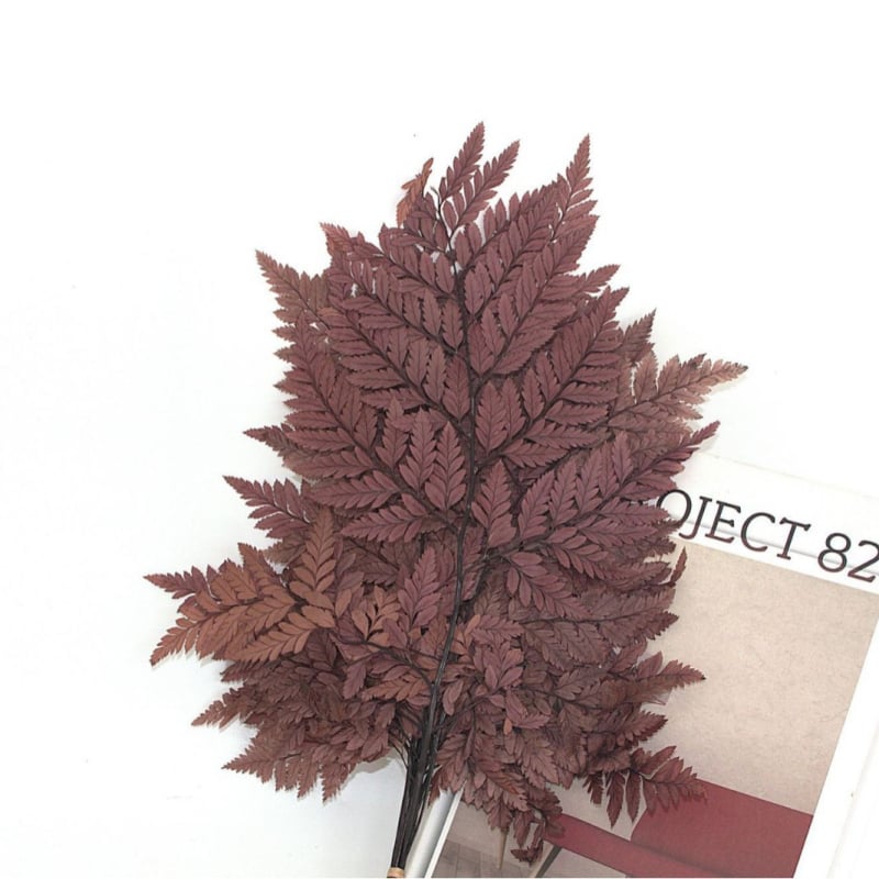 Džiovintos gėlės puokštė — amžinosios Alpine Goat Tooth Leaves, DIY floros medžiagos, vazos dekoras