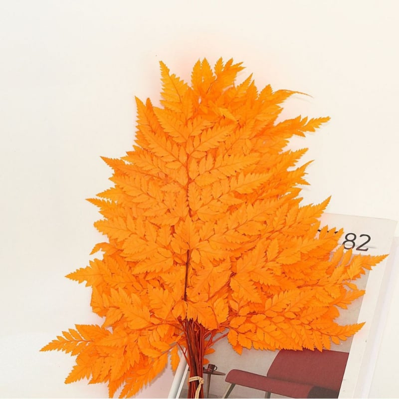 Džiovintos gėlės puokštė — amžinosios Alpine Goat Tooth Leaves, DIY floros medžiagos, vazos dekoras