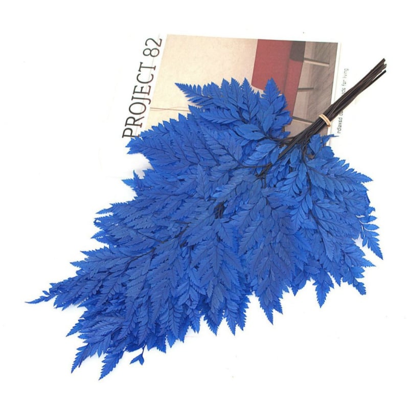 Džiovintos gėlės puokštė — amžinosios Alpine Goat Tooth Leaves, DIY floros medžiagos, vazos dekoras