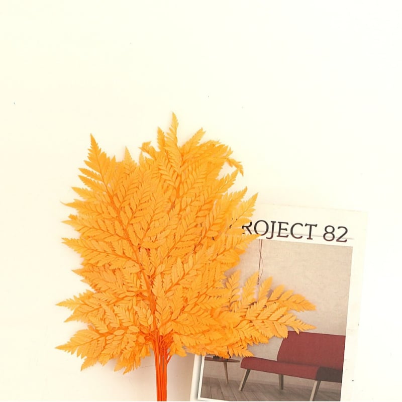 Džiovintos gėlės puokštė — amžinosios Alpine Goat Tooth Leaves, DIY floros medžiagos, vazos dekoras