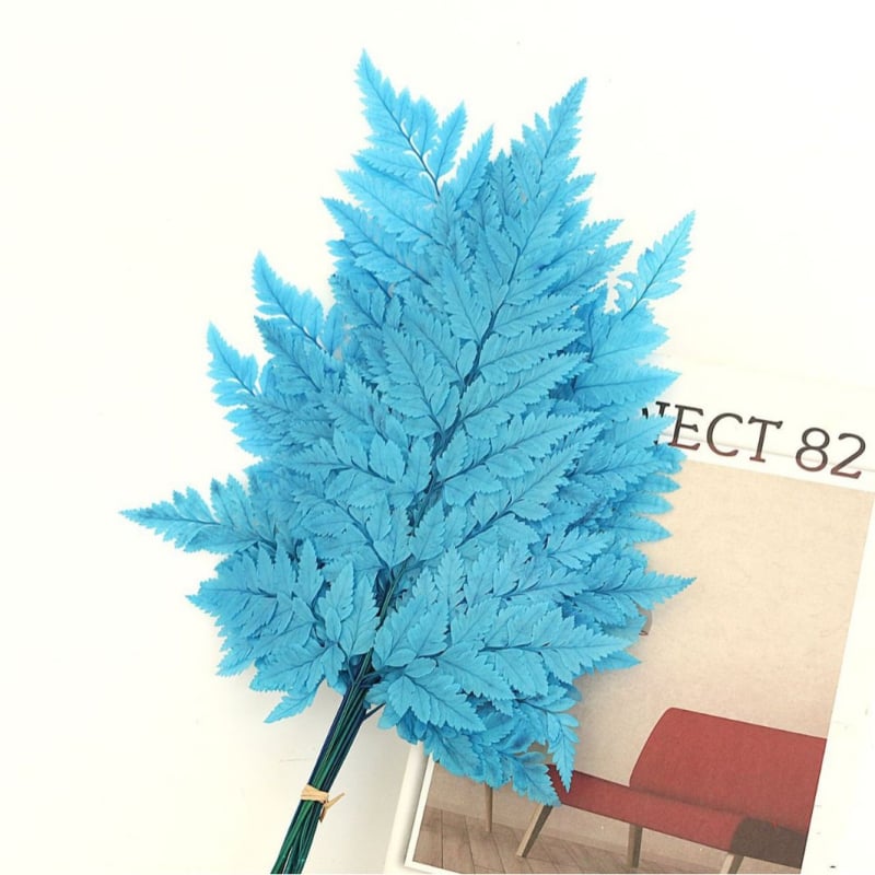 Džiovintos gėlės puokštė — amžinosios Alpine Goat Tooth Leaves, DIY floros medžiagos, vazos dekoras