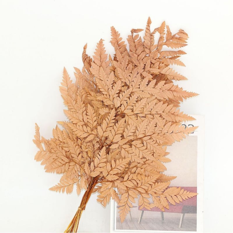 Džiovintos gėlės puokštė — amžinosios Alpine Goat Tooth Leaves, DIY floros medžiagos, vazos dekoras