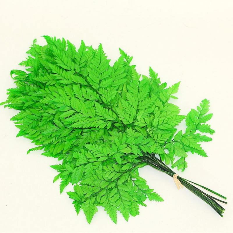 Džiovintos gėlės puokštė — amžinosios Alpine Goat Tooth Leaves, DIY floros medžiagos, vazos dekoras