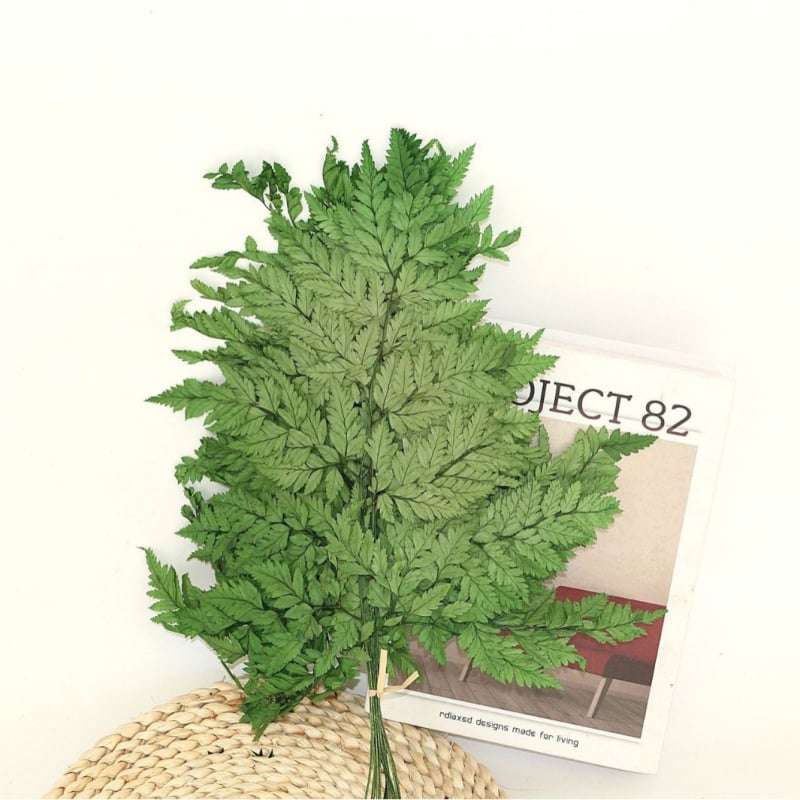 Džiovintos gėlės puokštė — amžinosios Alpine Goat Tooth Leaves, DIY floros medžiagos, vazos dekoras