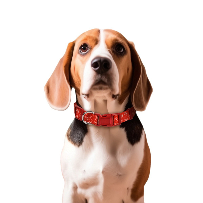 Macska- és kutyanyakörv — graffiti minta, poliészter, MIDEPET, karácsonyi kiadás