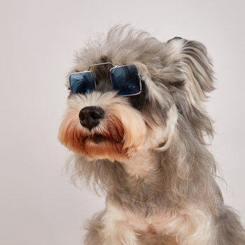 Dzīvnieku saulesbrilles kaķiem un suņiem - monohroma dizains, sveķu materiāls, piemērotas visiem gadalaikiem, pielāgojamas