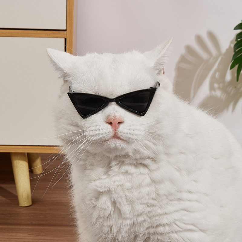 Dzīvnieku saulesbrilles kaķiem un suņiem - monohroma dizains, sveķu materiāls, piemērotas visiem gadalaikiem, pielāgojamas