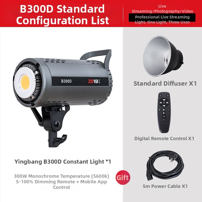 Shadow bang B300x – Professionaalne fotograafia lamp, kahekordne temperatuurivalgustus, 220W/220V, E40 pea, reguleeritav heledu, sõltuv toiteallikas, heleduse reguleerimine, sobib peamiseks valgustuseks otseülekande ja portree video jaoks