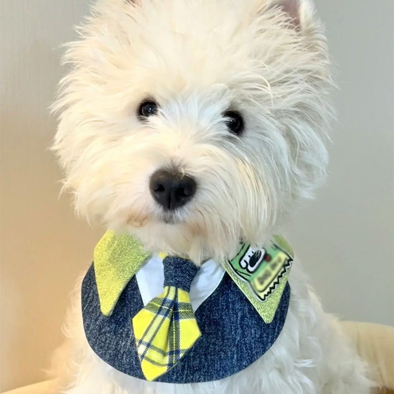 Prosop de salivă pentru animale de companie - poliester, utilizare universală, patru anotimpuri