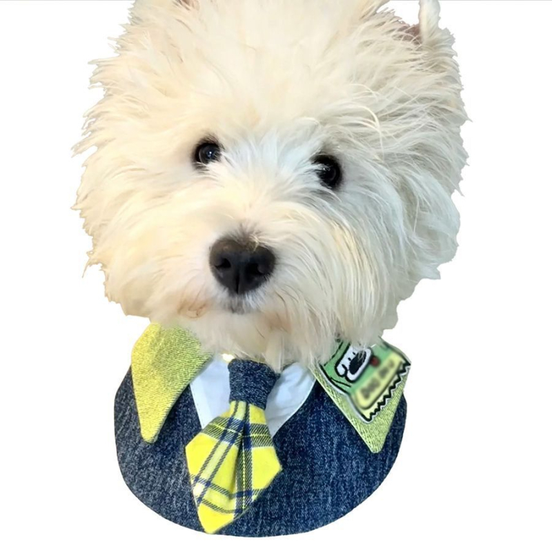 Prosop de salivă pentru animale de companie - poliester, utilizare universală, patru anotimpuri