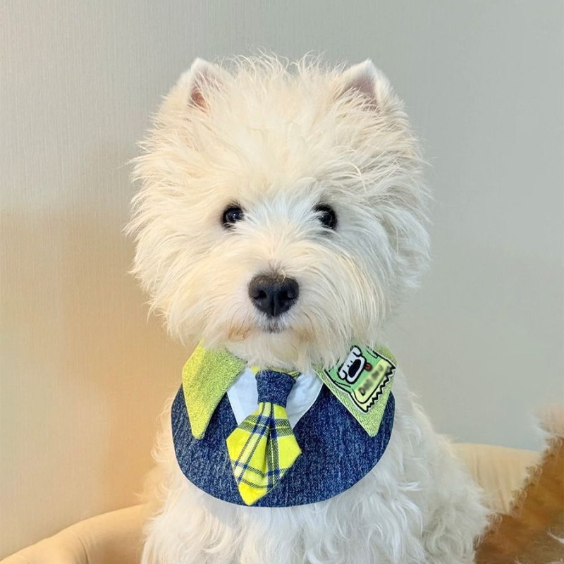 Prosop de salivă pentru animale de companie - poliester, utilizare universală, patru anotimpuri