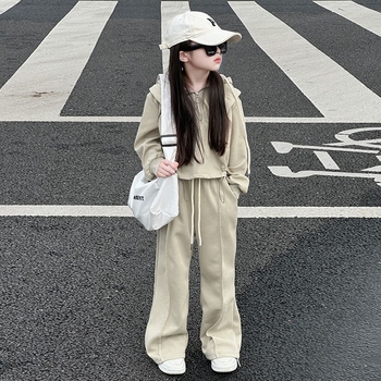 Costum fete din velur cu hanorac și pantaloni - stil coreean, pentru iarnă, primăvară și toamnă, set din două piese, 55% poliester