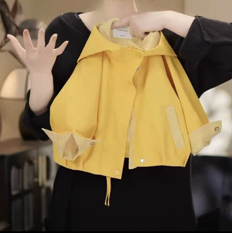 Detská kabát s kapucňou: vonkajší polyester, podšívka z polyesteru, zips, krátka dĺžka, jeseň