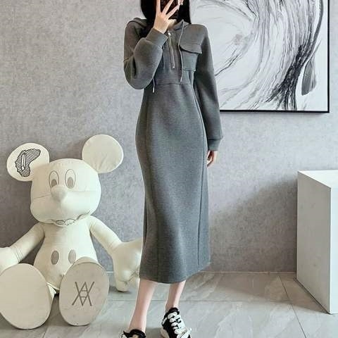 Haljina s kapuljačom, duga suknja, mrežasti materijal, književno retro stil, proljeće 2025