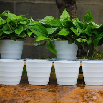 Plastična stolna posuda za cvijeće, injekcijsko oblikovanje, debela, bez poroznosti, rebrasta tekstura, jednostavan stil, set lonaca