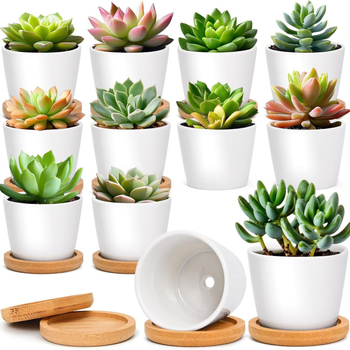 Keramična posuda za kaktuse i sukulente – jednostavan dizajn, prozračan, otporan na deformacije, za stolni ili podni prikaz, spremna za ispis logotipa