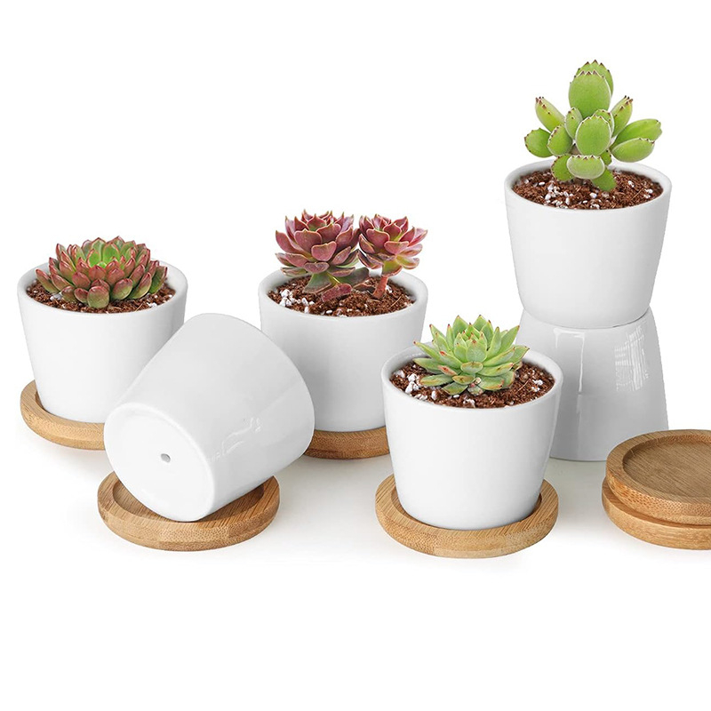 Keramična posuda za kaktuse i sukulente – jednostavan dizajn, prozračan, otporan na deformacije, za stolni ili podni prikaz, spremna za ispis logotipa