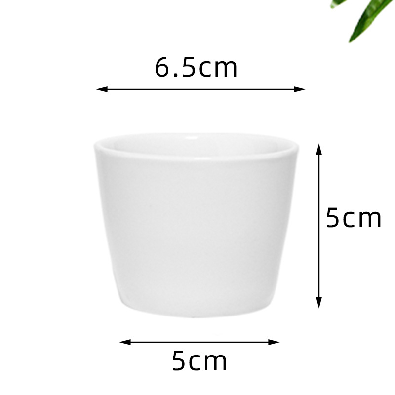 Keramična posuda za kaktuse i sukulente – jednostavan dizajn, prozračan, otporan na deformacije, za stolni ili podni prikaz, spremna za ispis logotipa