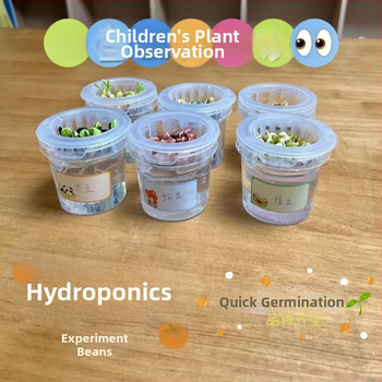 Hidroponski set za sjemenke graha u glaziranoj porcelanskoj posudi za kućno vrtlarenje, podno postolje, otporan na koroziju