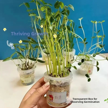 Hidroponski set za sjemenke graha u glaziranoj porcelanskoj posudi za kućno vrtlarenje, podno postolje, otporan na koroziju