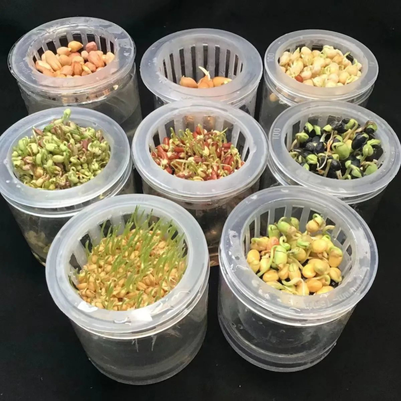 Hidroponski set za sjemenke graha u glaziranoj porcelanskoj posudi za kućno vrtlarenje, podno postolje, otporan na koroziju