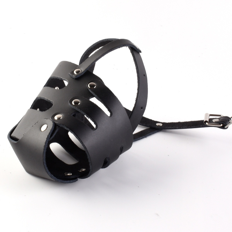 Shenlong kožni muzzle za pse, kutija 100 komada