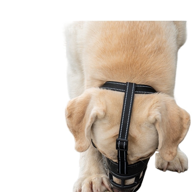 Kutyaszájkosár – anyag: selyem virágmintás; termékkód: F97st95jmj9jh5; kategória: Egyéb; importált: Nem