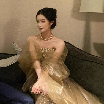 Večernja haljina s siluetom sirene, bez naramenica, bez rukava, visok struk, duga haljina