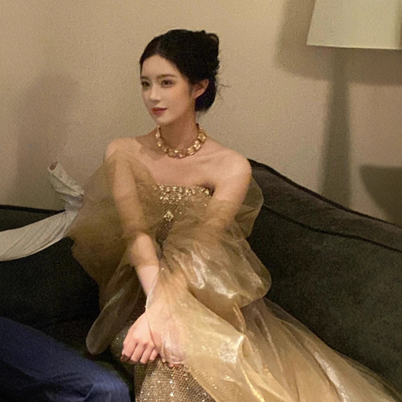 Večernja haljina s siluetom sirene, bez naramenica, bez rukava, visok struk, duga haljina