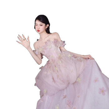 Francuski stil lagane vjenčane haljine s jednim ramenom, puderski tila, bez rukava, duga suknja s dugačkim šlepom, poliester smjesa, ljeto 2025