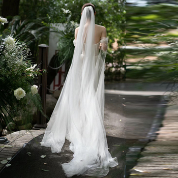 Rochie de mireasă fără bretele, cu mâneci lungi, siluetă sirenă cu coadă de pește, din plasă