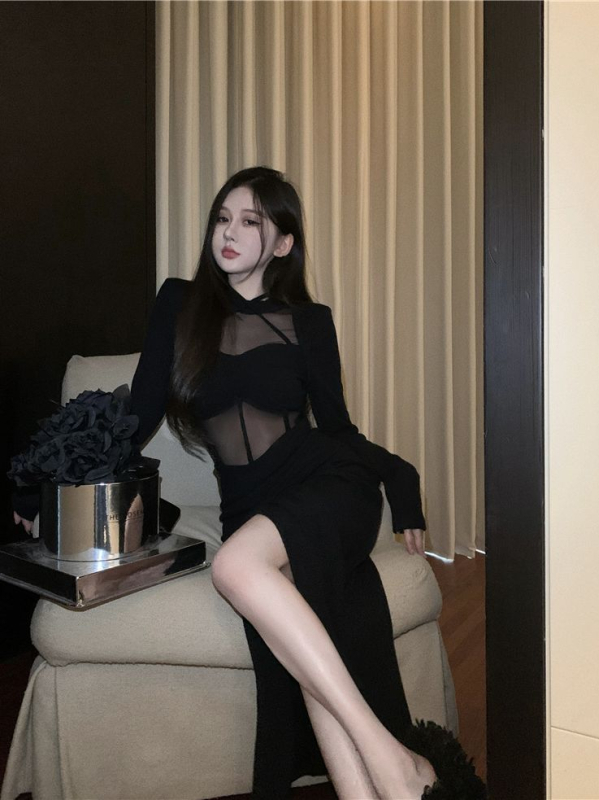 Rochie midi din plasă, mâneci lungi, guler rotund, siluetă strânsă pe șolduri