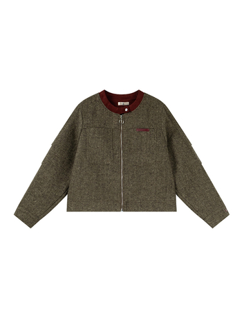 Jachetă cu model în culori compatibile, guler rotund, mâneci lungi, fermoar, grosime medie — Toamna 2025, casual pentru femei