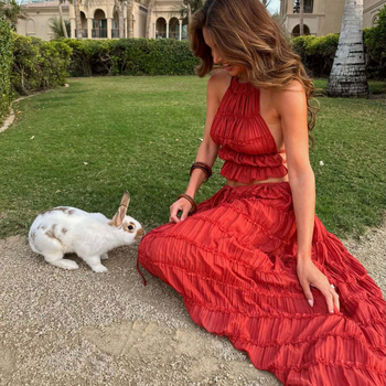 Kostim s suknjom, bez rukava, s otvorenim leđima i prilagodljivim halter vratom, duga suknja, jednostavan uzorak, poliester-elastan, ljeto 2025, elegantan stil