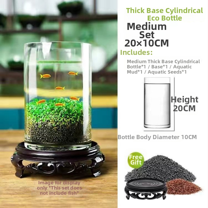 Хидропонна екологична бутилка за настолен декор — стъклена бутилка с водни растения и семена за ландшафт