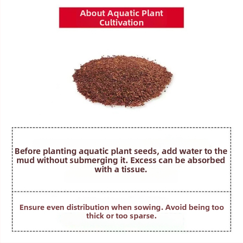 Хидропонна екологична бутилка за настолен декор – микро пейзаж, ландшафт от стъклена бутилка, семена за водни растения за четири сезона (магнитни материали; без внос)