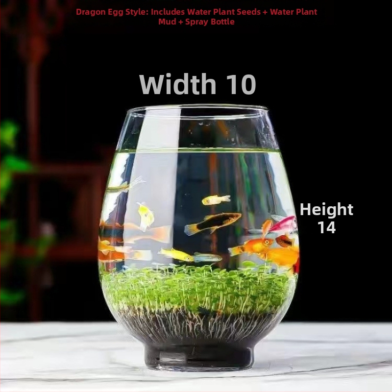 Хидропонна екологична бутилка за настолен декор – микро пейзаж, ландшафт от стъклена бутилка, семена за водни растения за четири сезона (магнитни материали; без внос)