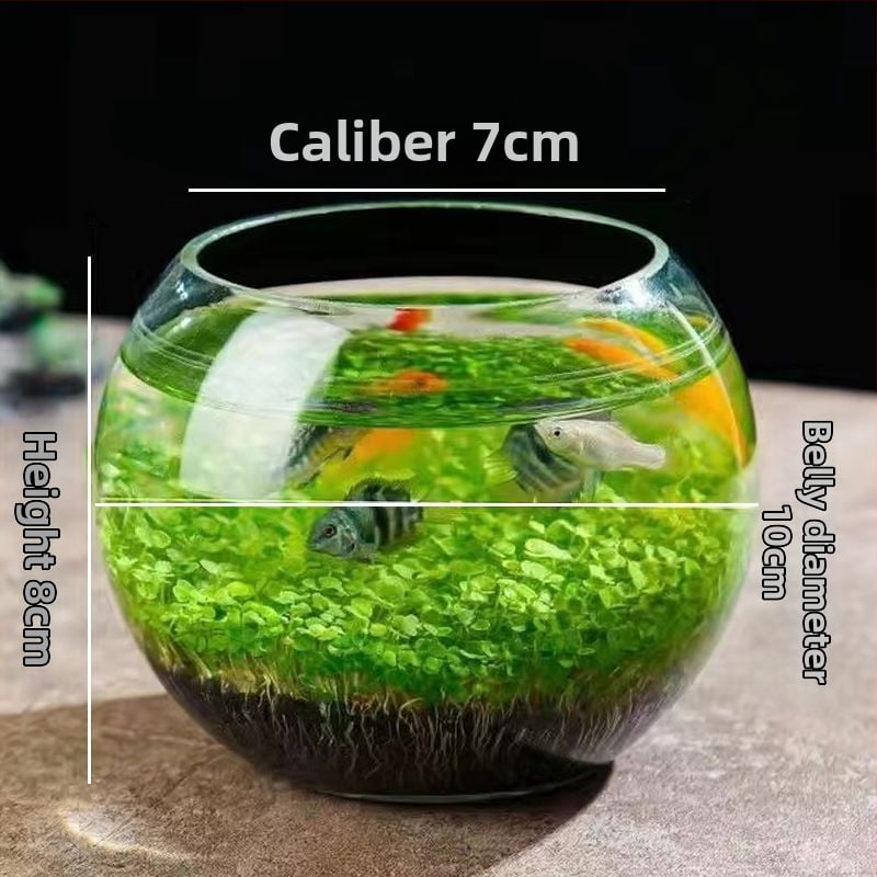 Хидропонна стъклена бутилка – мини ландшафт за бюро с водни растения през четирите сезона; магнитен материал