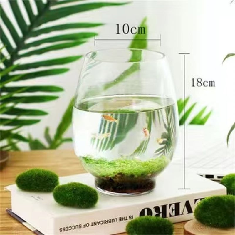 Хидропонна екологична бутилка за настолен декор със магнитни материали, не е внос, семена за водни растения