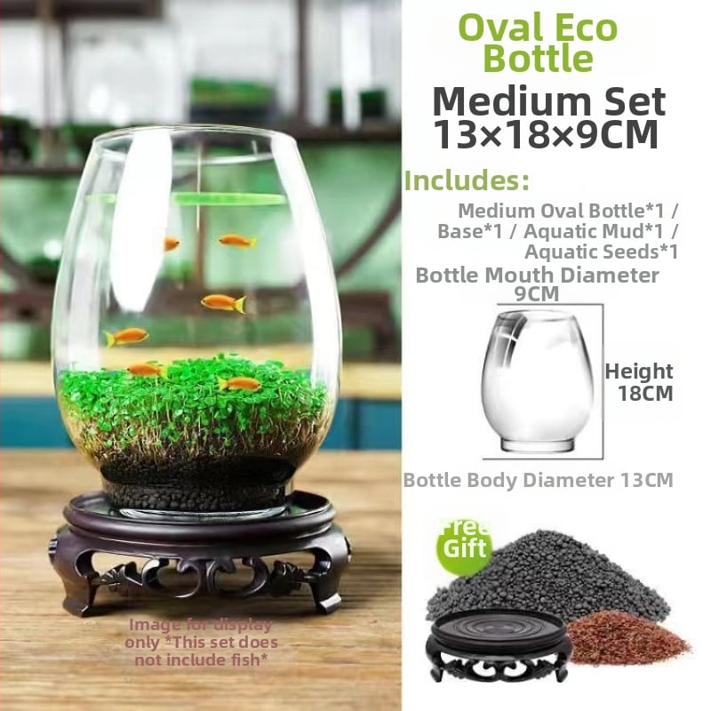 Хидропонна екологична бутилка за настолен декор със магнитни материали, не е внос, семена за водни растения